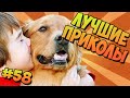 ЛУЧШИЕ ПРИКОЛЫ #58 МАЛЕНЬКИЕ ДЕТИ И СОБАКИ