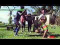 Alex kasau katombi  pewa pewa  official dance moves