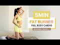 5min Full Body Fat Burner — Easy Cardio Workout at Home (burn lots calories!)