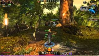 Neverwinter Beta Weekend 3 Gameplay - 4 / 13