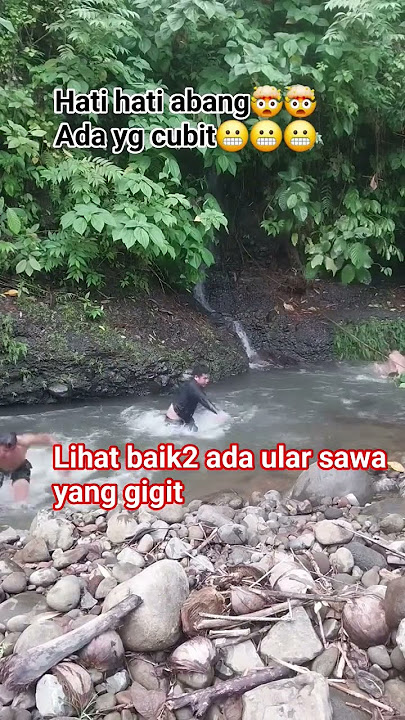 pas lagi mandi tiba-tiba ada ular sawa yang gigit #trending #viral