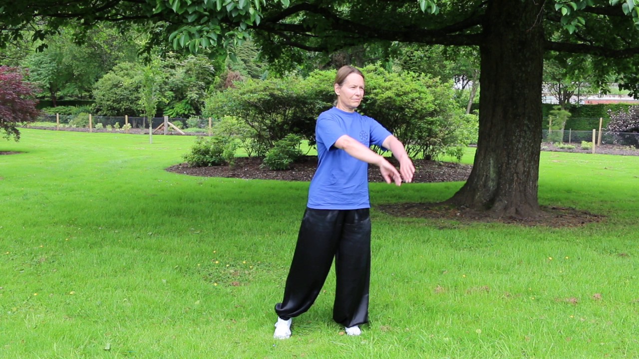 5 Elements Qigong - Exercise 4 - Element Metal - easy beginner version