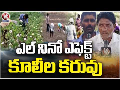 Labour Shortage in Khammam as El Nino Effect Intensifies Heat | V6 News - V6NEWSTELUGU