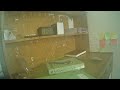 Day 2 Study 12 hours Challange | Year end come back 2024 HSC College student study with me live