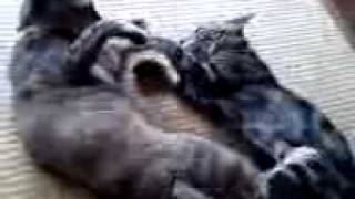 20110906 1