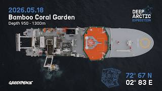 Deep Arctic - Divestream - Bamboo Coral Garden