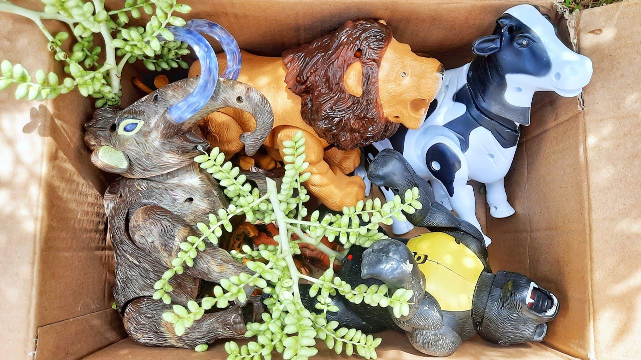 menemukan harta karun mainan hidup singa sapi dinosaurus gajah kingkong macan harimau kuda