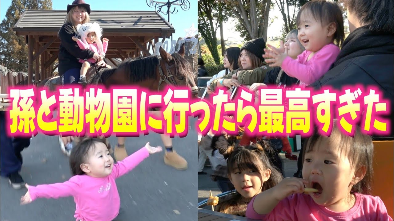 【動物園】初めてがいっぱい！孫レイカの反応が可愛すぎた❤