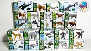 24 SEA ANIMALS, WILD ANIMALS, ZOO ANIMALS - Takara Tomy Ania animal toy collection screenshot 1