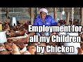 Employment Created For all my Children By Chicken. How I started a Profitable Chicken Business