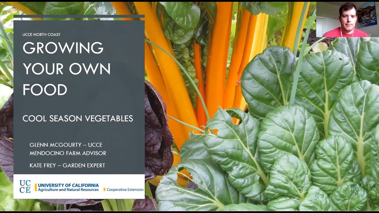Growing Your Own Food - Growing Cool Season Vegetables - YouTube