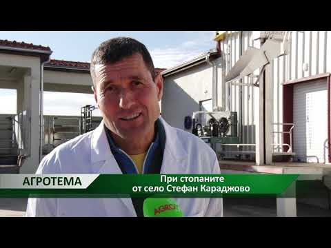 Видео: Месопреработвателни предприятия, месопреработвателни предприятия в Русия: рейтинг, продукти
