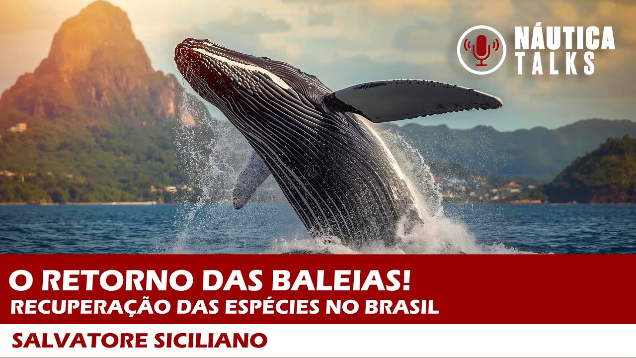Baleias no Brasil: a incrível história de recuperação das populações | NÁUTICA Talks