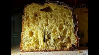 How to Make Perfect Sourdough Panettone at Home #sourdoughpanettone #sourdough