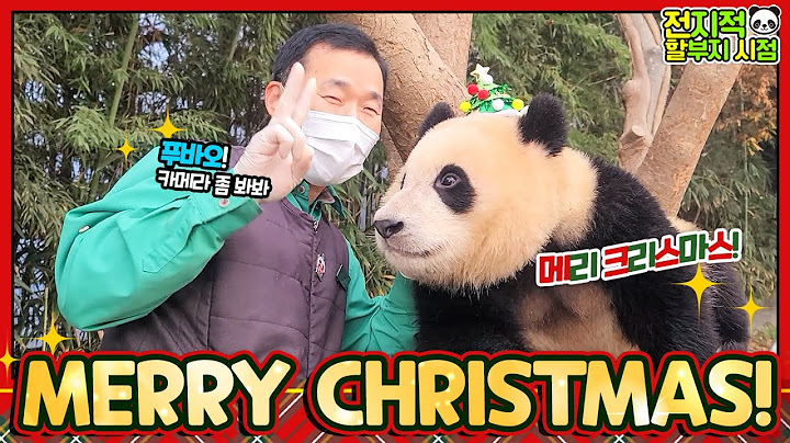 (SUB) Mischief girl Fubao bites snowman grandpa gave it for a Christmas gift⛄│Everland Panda Fubao