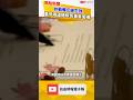 終戰備忘錄生效 美伊兩國總統簽署畫面曝