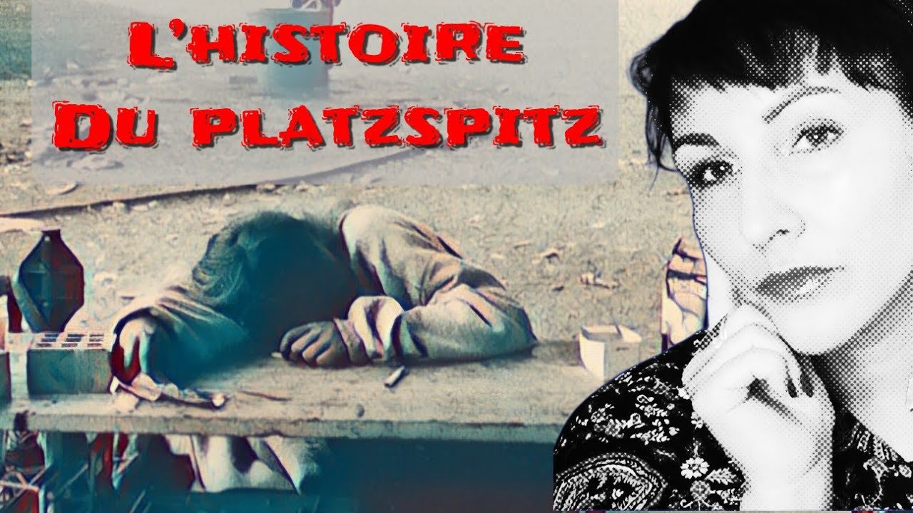 L’ ENFER à Zürich  #histoiresuisse#chronique#platzspitz#zurich