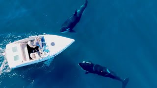 Killer Whales Stalk Boats Off Laguna Beach by Skid Kids 42,679 views 4 months ago 14 minutes, 54 seconds