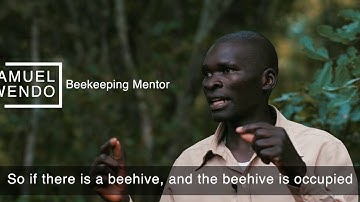 WeForest.org | Zambia.