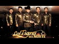 Los Tigres Del Norte  Puros Corridos Pesados Mix 2021  Corridos 2021  Puros Corridos mi