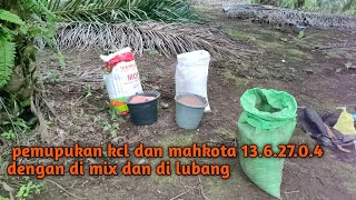Pemukan Kelapa Sawit Kcl Dan Mahkota 13.6.27