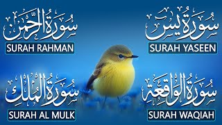 Download Lagu The Best Recitation Surah Yaseen Yasin  Surah Rahman  Surah Waqiah  Surah Mulk MP3