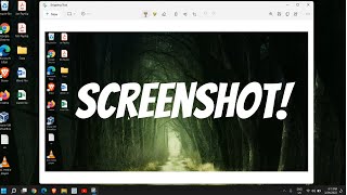 How to Take a Screenshot in Windows 11/10 (2022)