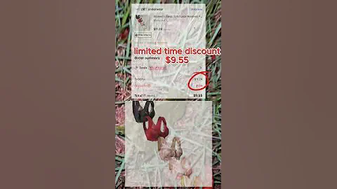 Must-Have Wireless Push Up Bra for Everyday Comfort