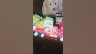 1 февраля 2024 г.