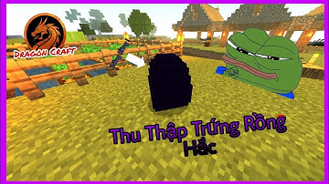 MINECRAFT KỴ SĨ RỒNG #9 - ĐI TÌM TRỨNG RỒNG HẮC LONG !! | Mr Frog