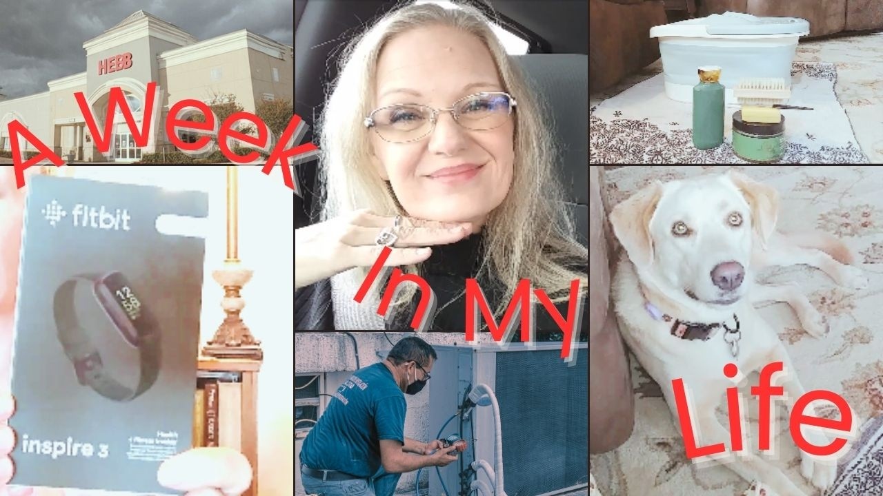 A Week In My Life :: Feb 19 - Feb 26 - Why Can't People Just Be HONEST???