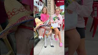 Not alone✌️😭#fypシ #bffgoals #bfl #viral #shorts
