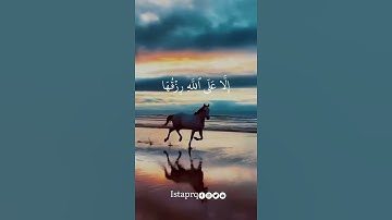 وما من دابة في الأرض إلا على الله رزقها ويعلم مستقرها ومستودعها | سورة هود | ياسر الدوسري