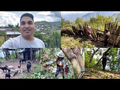 Finally… My Farm Vlog | Update!
