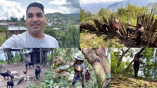 Finally… My Farm Vlog | Update!