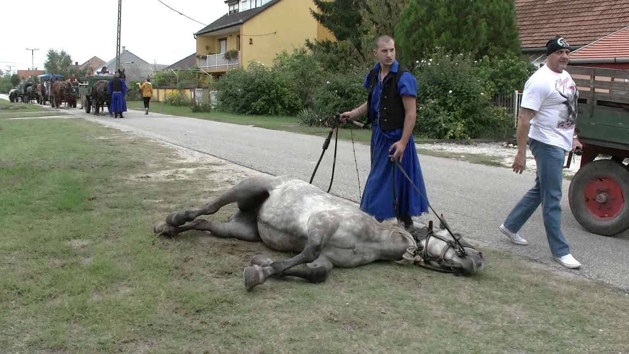 Szüreti felvonulás 2015 Hernád