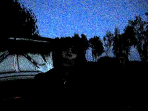 свистунатики:)(night whistlers)