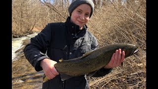 Irondequoit Creek Rainbow Trout