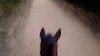 Simulador de Cavalo screenshot 2