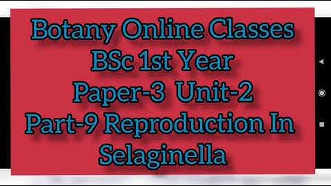Botany BSc 1st Year Paper-3 Unit-2 Part-9 Reproduction In Selaginella