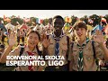 Scouts greeting in Esperanto