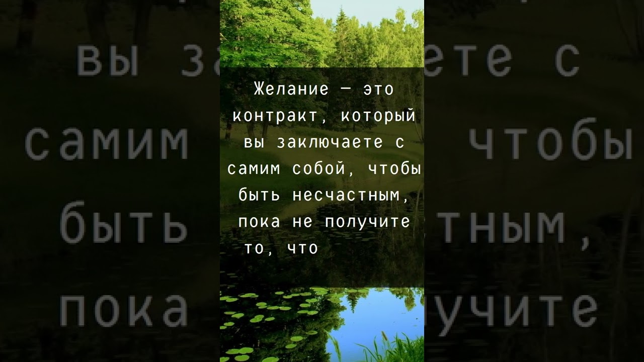 20.11.2022. Счастья Вам! Цитаты О Счастье #цитаты #афоризмы #высказывания #счастье #shorts