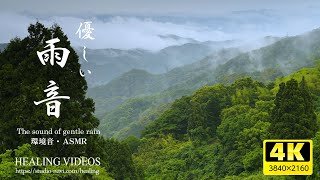 [Environmental sounds/ASMR] Gentle rain sounds and natural scenery/Relaxing/Studying or working. by 癒しの映像館 54,133 views 10 months ago 4 hours, 26 minutes