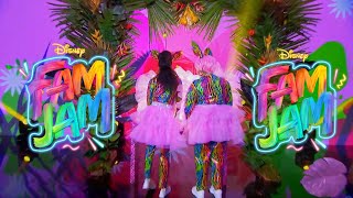 Disney  Family Dance Party＋Dance! Dance! Disney Channel's Family Dance Competition Series 'Disney Fam