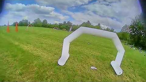 4" Twig on Racetrack