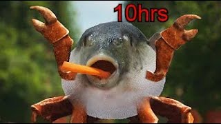 PufferFish Rave 10 hours