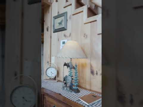 2775 Overholt Trail, Sevierville, TN home video tour