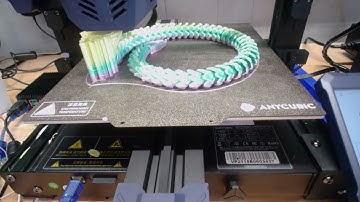 Articulated Cobra Timelapse Printed on Anycubic Vyper