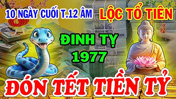 10 Ngày Cuối Năm 2024: Đinh Tỵ 1977 Phát Lộc Rực Rỡ Giàu Sang Đón Tết, Tiền Tiêu Thả Ga Sắm Tết
