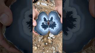 Digging Up 999 Worth Of Rocks, On A Cliff From A Former Gold Mine